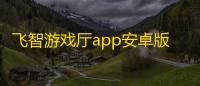 飞智游戏厅app安卓版